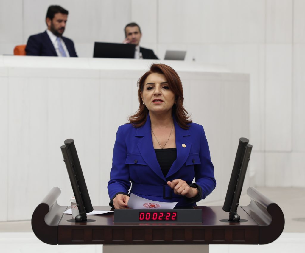 “Gençler iş aramaktan vazgeçince işsizlik düştü sanıyorlar”