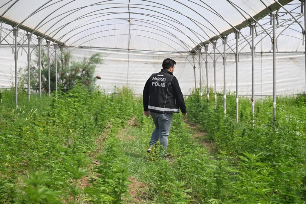 Mersin’de zehir tacirlerine “sera” darbesi