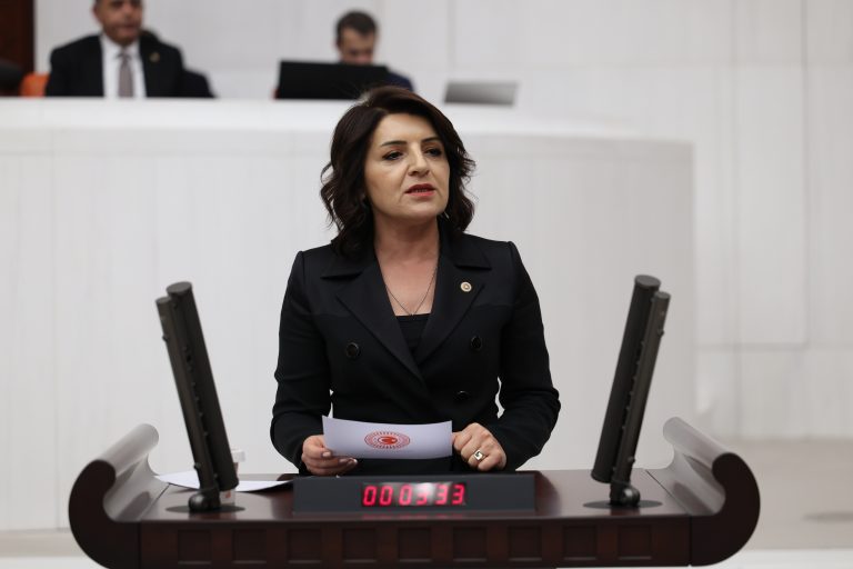 GÜLCAN KIŞ “AKP’DEN EV KADINLARINA: VAAT VAR, İCRAAT YOK”