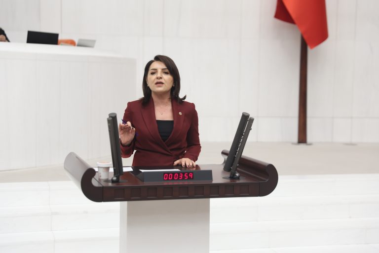 GÜLCAN KIŞ “TÜRKİYE EKONOMİSİ BORÇLA DÖNÜYOR, FAİZLE AYAKTA KALIYOR”