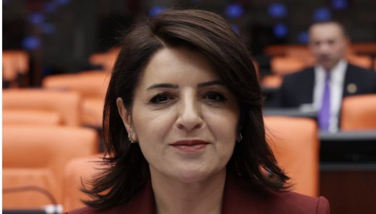 Gülcan Kış: “2 bin 225 vatandaşımız silahlı olaylarda hayatını kaybetti”